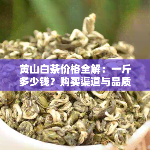 黄山白茶价格全解：一斤多少钱？购买渠道与品质分析