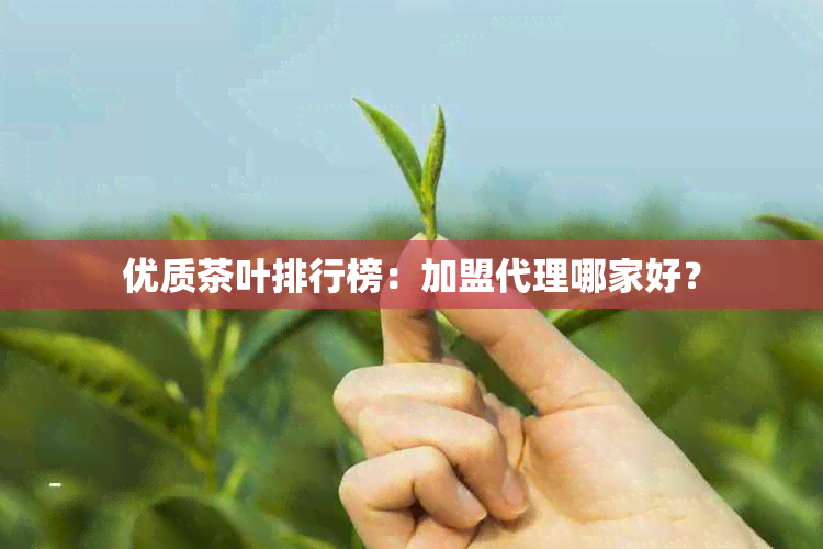 优质茶叶排行榜：加盟代理哪家好？