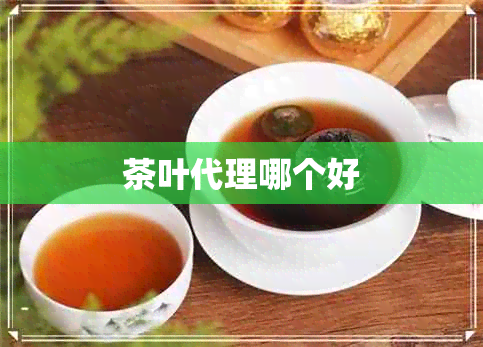 茶叶代理哪个好