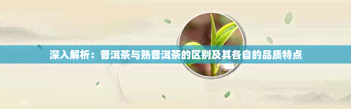 深入解析：普洱茶与熟普洱茶的区别及其各自的品质特点