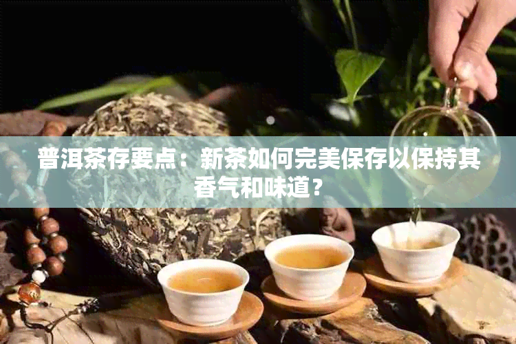 普洱茶存要点：新茶如何完美保存以保持其香气和味道？