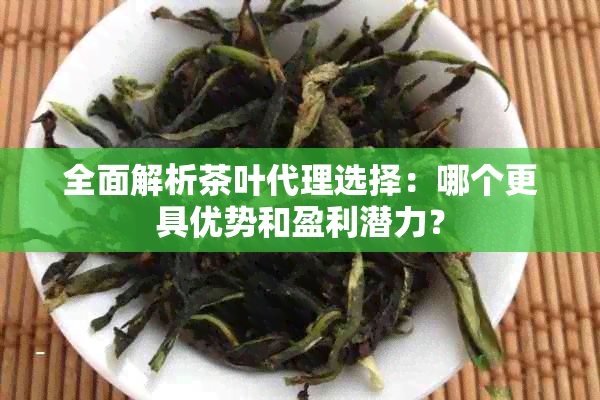 全面解析茶叶代理选择：哪个更具优势和盈利潜力？