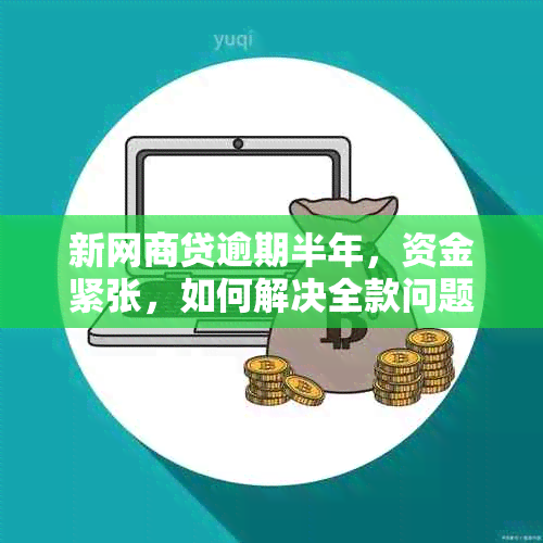 新网商贷逾期半年，资金紧张，如何解决全款问题？