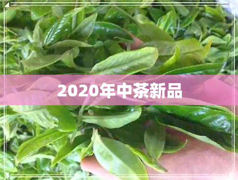 2020年中茶新品