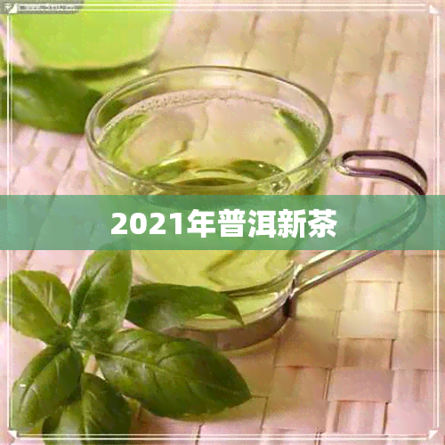 2021年普洱新茶