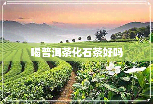 喝普洱茶化石茶好吗