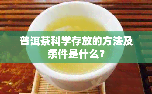 普洱茶科学存放的方法及条件是什么？