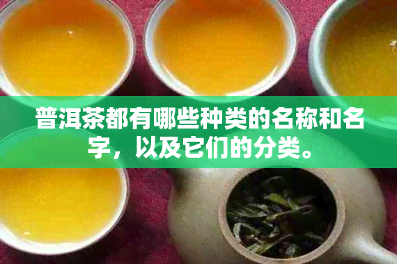 普洱茶都有哪些种类的名称和名字，以及它们的分类。