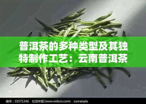 普洱茶的多种类型及其独特制作工艺：云南普洱茶中的各种茶叶形态和口感特点