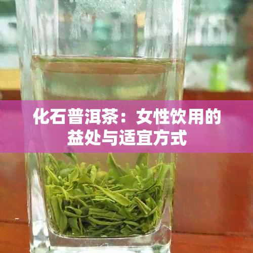 化石普洱茶：女性饮用的益处与适宜方式