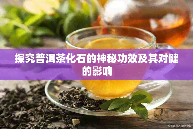 探究普洱茶化石的神秘功效及其对健的影响