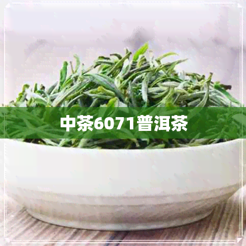 中茶6071普洱茶