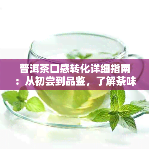 普洱茶口感转化详细指南：从初尝到品鉴，了解茶味变化及其原因