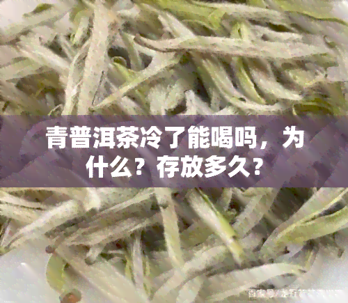 青普洱茶冷了能喝吗，为什么？存放多久？