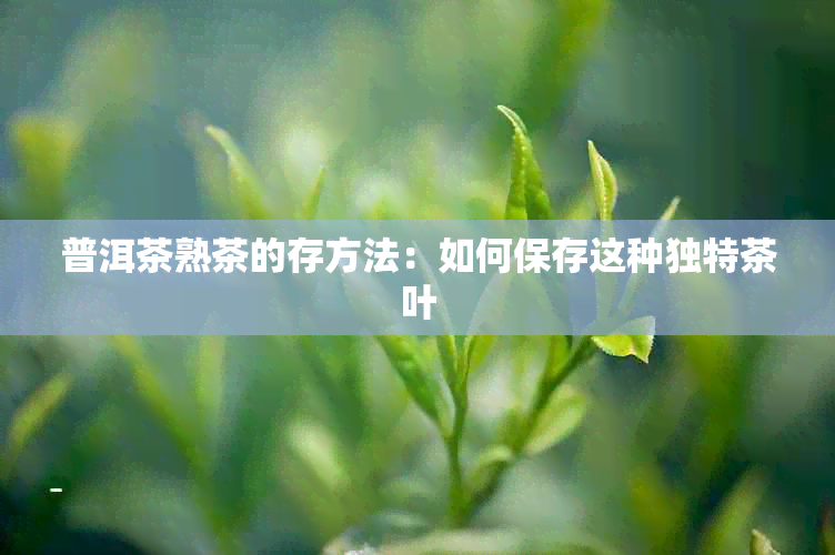 普洱茶熟茶的存方法：如何保存这种独特茶叶