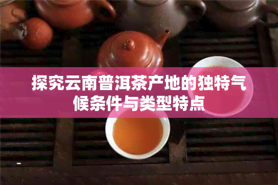 探究云南普洱茶产地的独特气候条件与类型特点