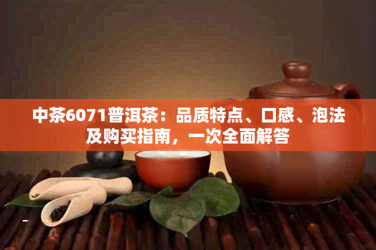 中茶6071普洱茶：品质特点、口感、泡法及购买指南，一次全面解答