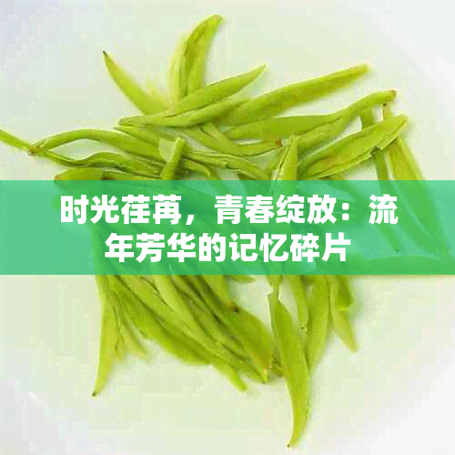 时光荏苒，青春绽放：流年芳华的记忆碎片