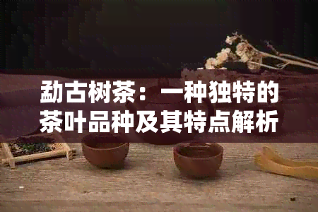 勐古树茶：一种独特的茶叶品种及其特点解析