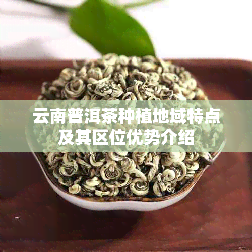 云南普洱茶种植地域特点及其区位优势介绍