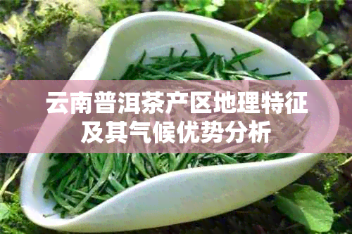 云南普洱茶产区地理特征及其气候优势分析