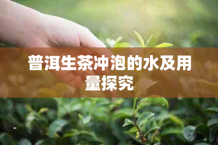 普洱生茶冲泡的水及用量探究