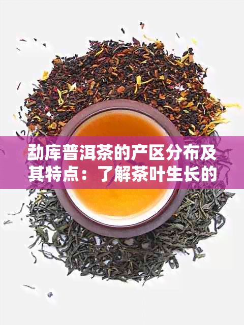 勐库普洱茶的产区分布及其特点：了解茶叶生长的地理环境