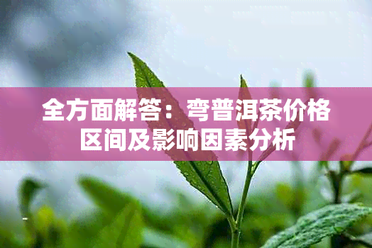 全方面解答：弯普洱茶价格区间及影响因素分析