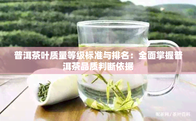 普洱茶叶质量等级标准与排名：全面掌握普洱茶品质判断依据