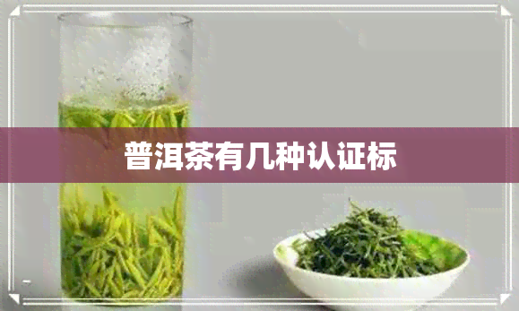 普洱茶有几种认证标