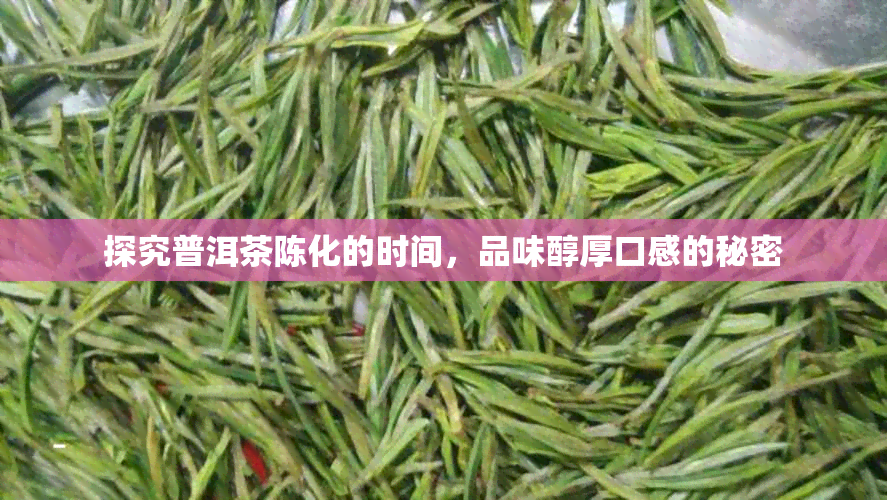 探究普洱茶陈化的时间，品味醇厚口感的秘密