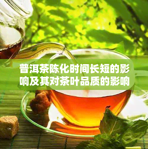 普洱茶陈化时间长短的影响及其对茶叶品质的影响分析