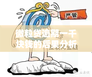 微粒贷逾期一千块钱的后果分析：是否会被起诉？