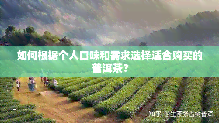 如何根据个人口味和需求选择适合购买的普洱茶？