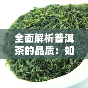 全面解析普洱茶的品质：如何区分好与坏？