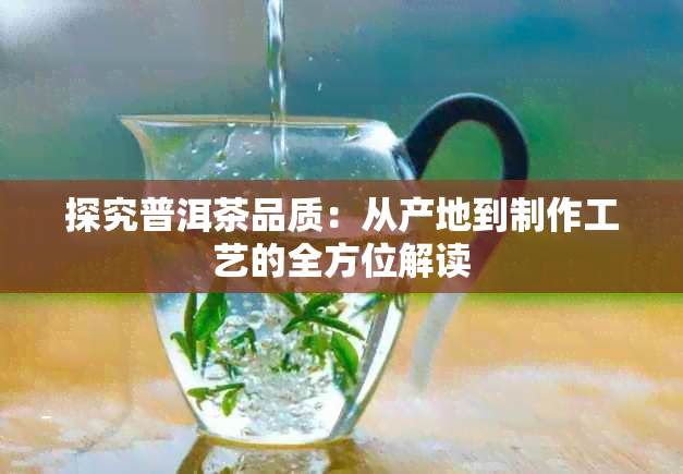 探究普洱茶品质：从产地到制作工艺的全方位解读