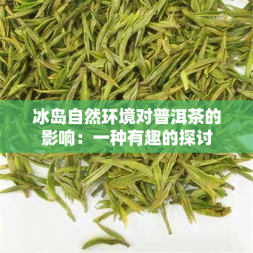 冰岛自然环境对普洱茶的影响：一种有趣的探讨