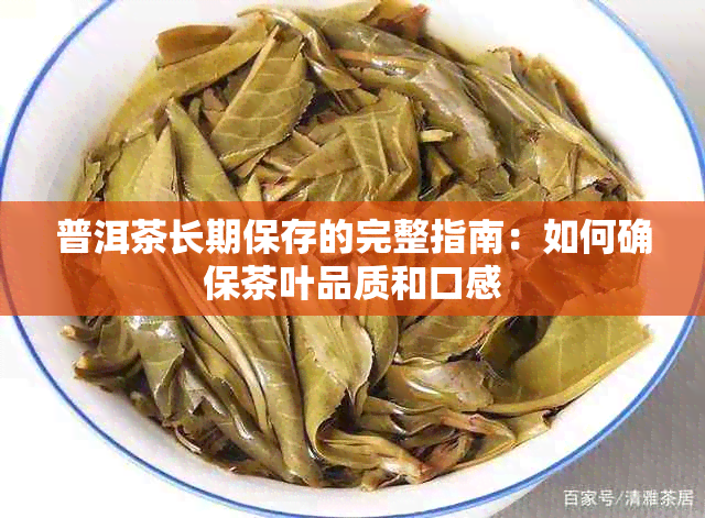 普洱茶长期保存的完整指南：如何确保茶叶品质和口感