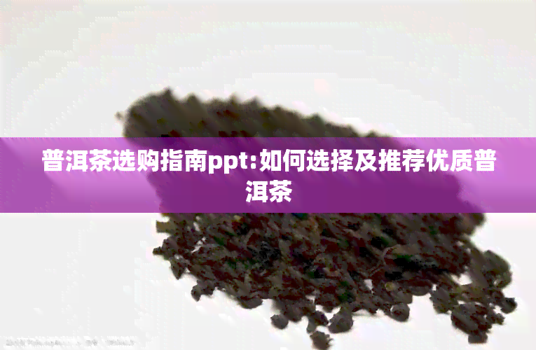 普洱茶选购指南ppt:如何选择及推荐优质普洱茶