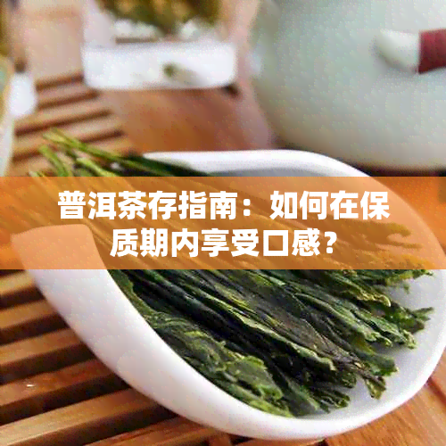 普洱茶存指南：如何在保质期内享受口感？