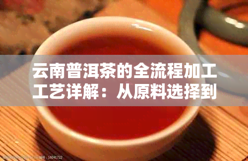 云南普洱茶的全流程加工工艺详解：从原料选择到成品制作，一应俱全！