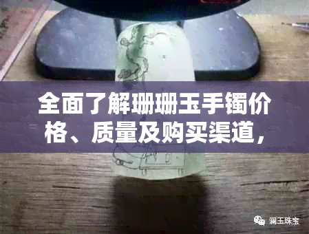 全面了解珊珊玉手镯价格、质量及购买渠道，助您轻松选购珍品手镯