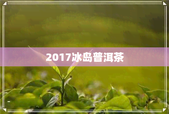 2017冰岛普洱茶