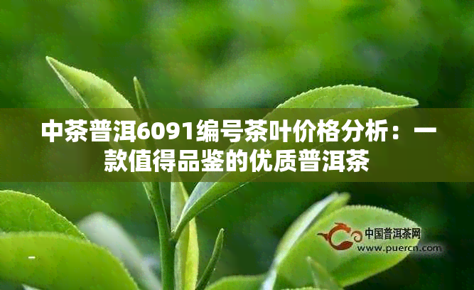 中茶普洱6091编号茶叶价格分析：一款值得品鉴的优质普洱茶