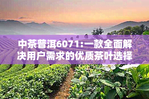 中茶普洱6071:一款全面解决用户需求的优质茶叶选择