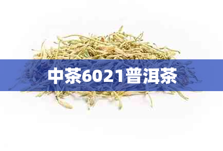 中茶6021普洱茶