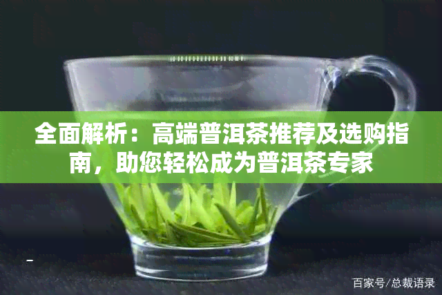 全面解析：高端普洱茶推荐及选购指南，助您轻松成为普洱茶专家