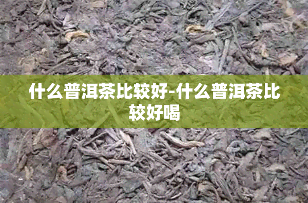 什么普洱茶比较好-什么普洱茶比较好喝