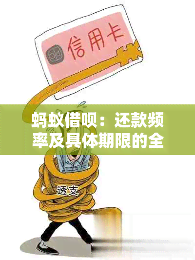 蚂蚁借呗：还款频率及具体期限的全面解析，帮助您更好地规划借款计划