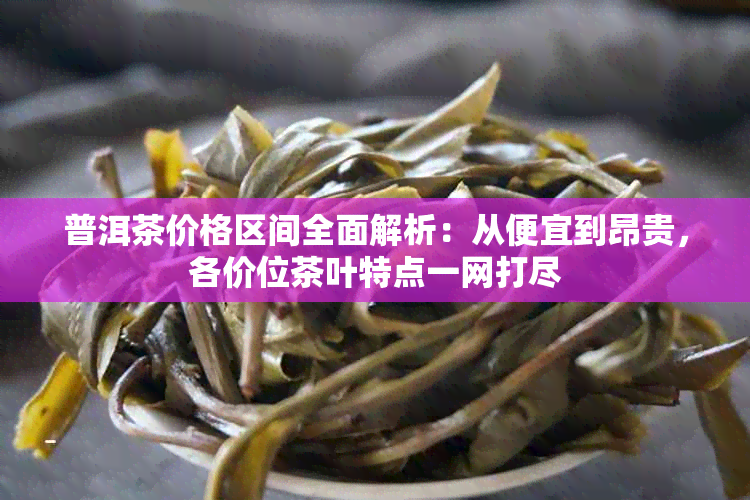 普洱茶价格区间全面解析：从便宜到昂贵，各价位茶叶特点一网打尽